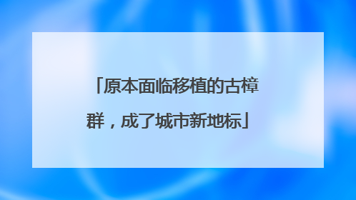 原本面临移植的古樟群，成了城市新地标