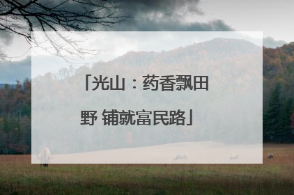 光山：药香飘田野 铺就富民路