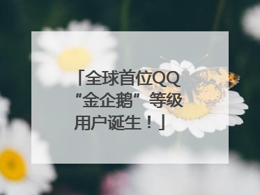 全球首位QQ“金企鹅”等级用户诞生！