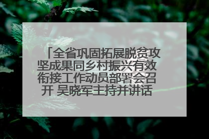 全省巩固拓展脱贫攻坚成果同乡村振兴有效衔接工作动员部署会召开 吴晓军主持并讲话 罗东川作安排部署