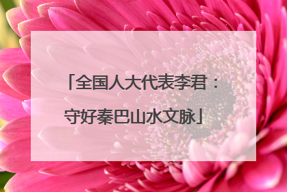 全国人大代表李君：守好秦巴山水文脉