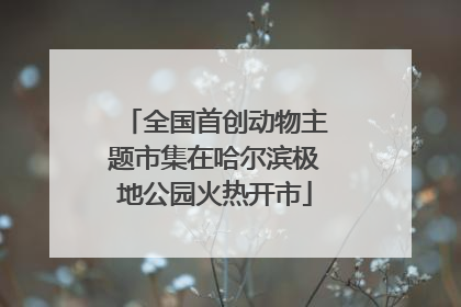 全国首创动物主题市集在哈尔滨极地公园火热开市