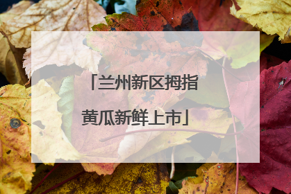 兰州新区拇指黄瓜新鲜上市