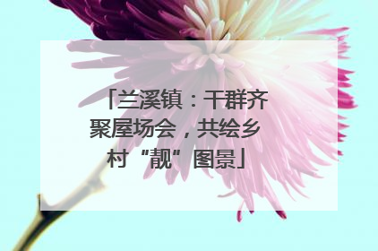 兰溪镇：干群齐聚屋场会，共绘乡村“靓”图景
