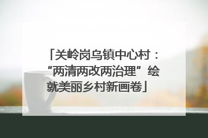 关岭岗乌镇中心村：“两清两改两治理”绘就美丽乡村新画卷
