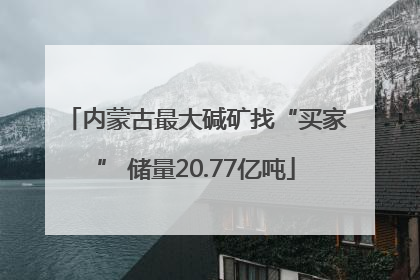 内蒙古最大碱矿找“买家” 储量20.77亿吨