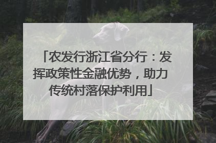农发行浙江省分行：发挥政策性金融优势，助力传统村落保护利用