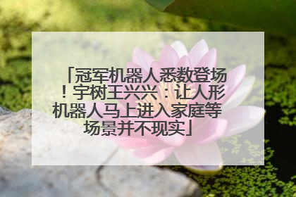 冠军机器人悉数登场！宇树王兴兴：让人形机器人马上进入家庭等场景并不现实