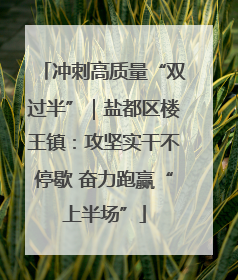 冲刺高质量“双过半”｜盐都区楼王镇：攻坚实干不停歇 奋力跑赢“上半场”
