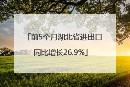 前5个月湖北省进出口同比增长26.9%