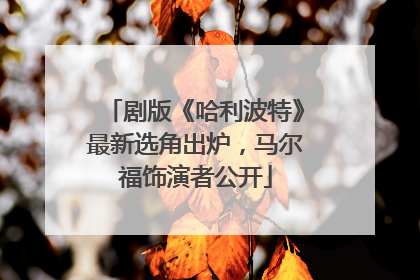 剧版《哈利波特》最新选角出炉，马尔福饰演者公开