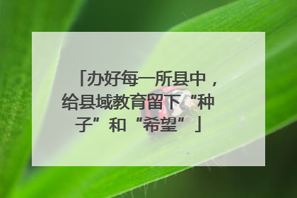 办好每一所县中，给县域教育留下“种子”和“希望”