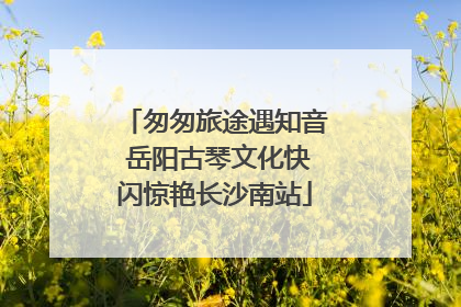 匆匆旅途遇知音 岳阳古琴文化快闪惊艳长沙南站