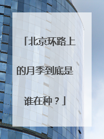 北京环路上的月季到底是谁在种？