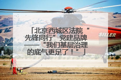 北京西城区法院“先锋同行”党建品牌——“我们基层治理的底气更足了！”