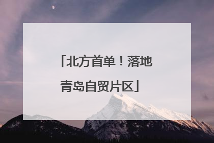 北方首单！落地青岛自贸片区