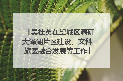 吴桂英在望城区调研大泽湖片区建设、文科旅医融合发展等工作