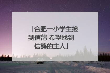 合肥一小学生捡到信鸽 希望找到信鸽的主人