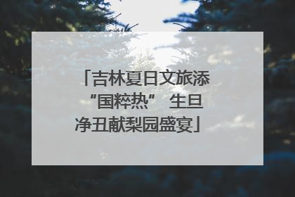 吉林夏日文旅添“国粹热” 生旦净丑献梨园盛宴