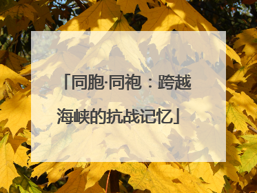 同胞·同袍：跨越海峡的抗战记忆