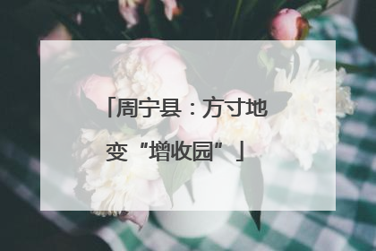周宁县：方寸地变“增收园”