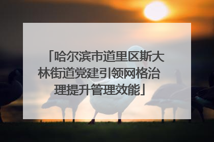 哈尔滨市道里区斯大林街道党建引领网格治理提升管理效能