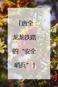 唐全：龙龙铁路的“安全哨兵”
