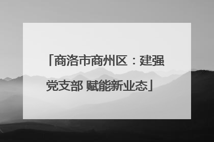 商洛市商州区：建强党支部 赋能新业态