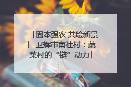 固本强农 共绘新景 ︳卫辉市南社村：蔬菜村的“链”动力