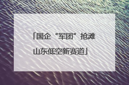 国企“军团”抢滩山东低空新赛道