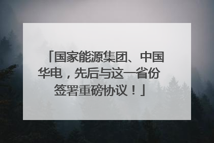 国家能源集团、中国华电，先后与这一省份签署重磅协议！