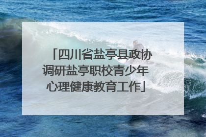 四川省盐亭县政协调研盐亭职校青少年心理健康教育工作