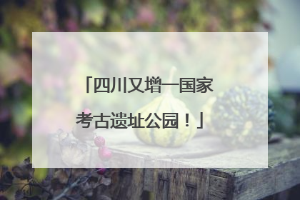 四川又增一国家考古遗址公园！