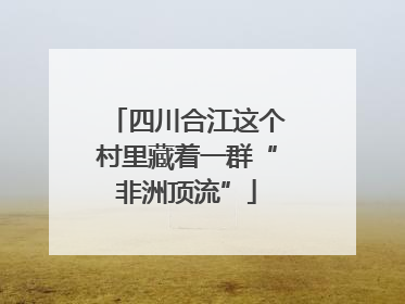 四川合江这个村里藏着一群“非洲顶流”