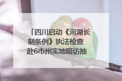 四川启动《河湖长制条例》执法检查 赴6市州实地暗访抽查｜四川人大之声