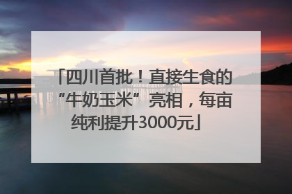 四川首批！直接生食的“牛奶玉米”亮相，每亩纯利提升3000元