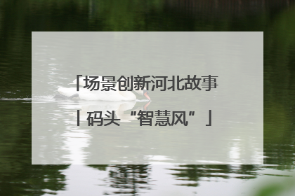 场景创新河北故事丨码头“智慧风”