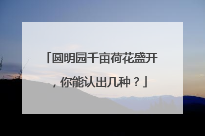 圆明园千亩荷花盛开，你能认出几种？