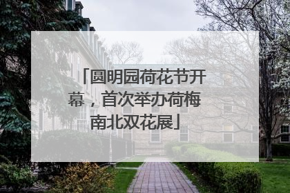 圆明园荷花节开幕，首次举办荷梅南北双花展