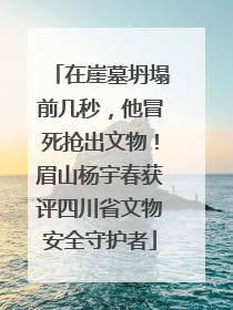 在崖墓坍塌前几秒，他冒死抢出文物！眉山杨宇春获评四川省文物安全守护者