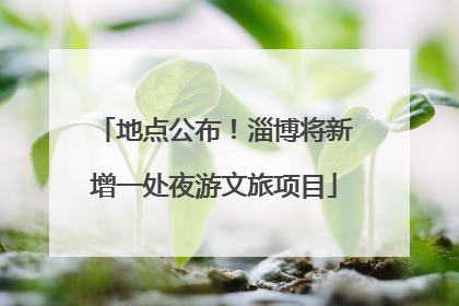 地点公布！淄博将新增一处夜游文旅项目