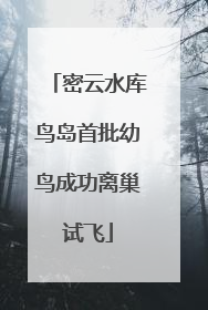 密云水库鸟岛首批幼鸟成功离巢试飞