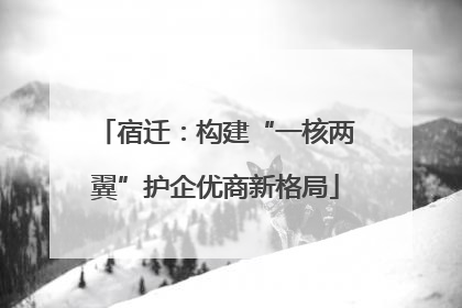宿迁：构建“一核两翼”护企优商新格局