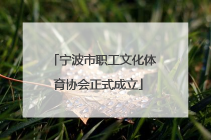宁波市职工文化体育协会正式成立