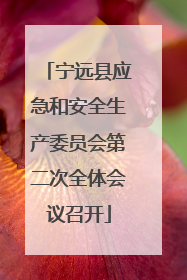 宁远县应急和安全生产委员会第二次全体会议召开