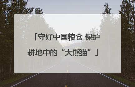 守好中国粮仓 保护耕地中的“大熊猫”