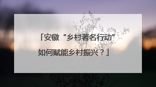 安徽“乡村著名行动”如何赋能乡村振兴？