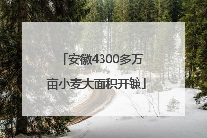 安徽4300多万亩小麦大面积开镰