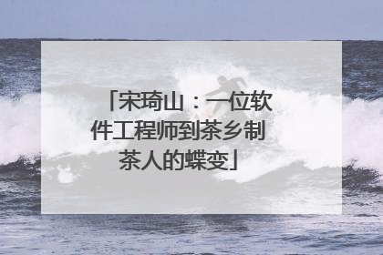 宋琦山：一位软件工程师到茶乡制茶人的蝶变