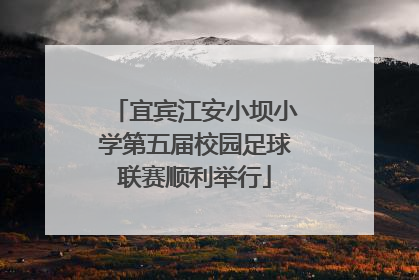 宜宾江安小坝小学第五届校园足球联赛顺利举行